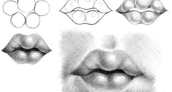 عکس لب برای طراحی سیاه قلم