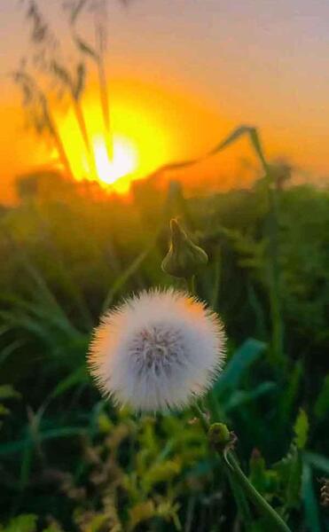 عکس منظره ی کیوت