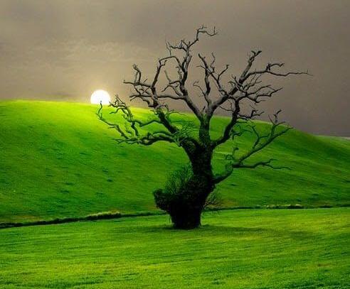 عکس منظره های کیوت