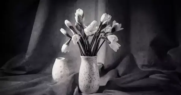 عکس سیاه سفید از منظره