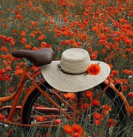 عکس پروفایل منظره دخترانه