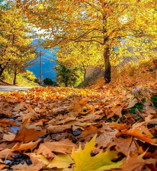 عکس منظره پاییزی طبیعی
