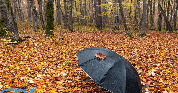عکس منظره پاییزی طبیعی