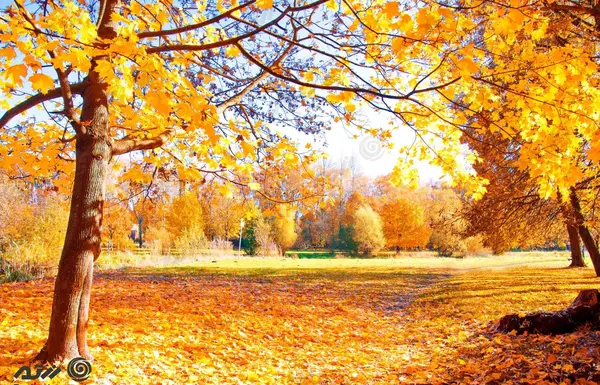 عکس منظره پاییز با کیفیت بالا