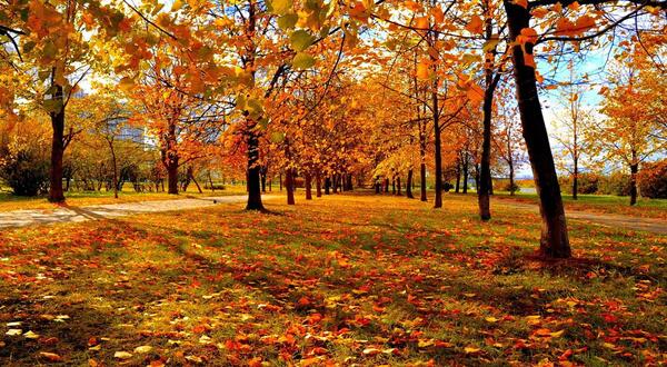عکس منظره پاییز با کیفیت بالا
