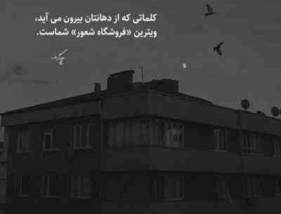 یه عکس دوتایی لب دریا نداریم