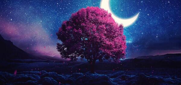 عکس صفحه زمینه لب تاب