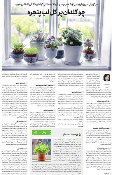 عکس گلدان لب پنجره