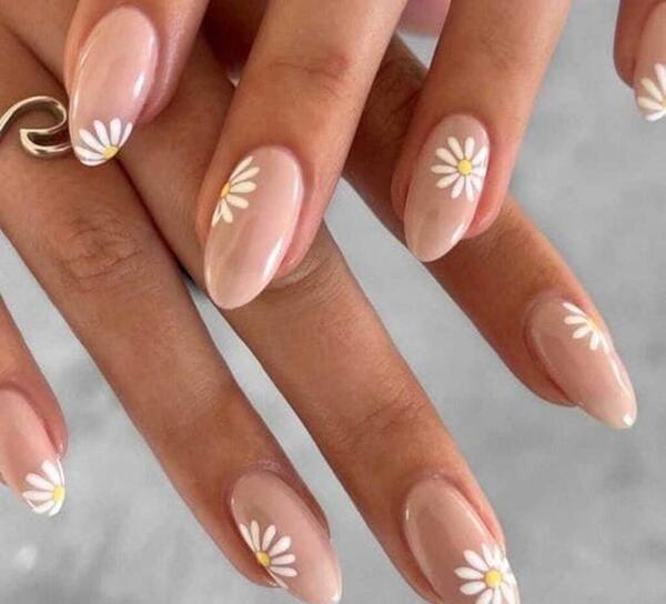 عکس ناخن گل بابونه