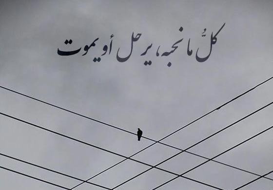 عکس وضعیت واتساپ عربی اهوازی