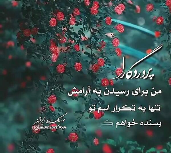 عکس وضعیت واتساپ لاکچری خدا