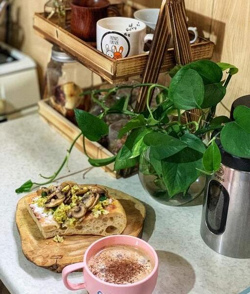 عکس خونه جاری نی نی سایت