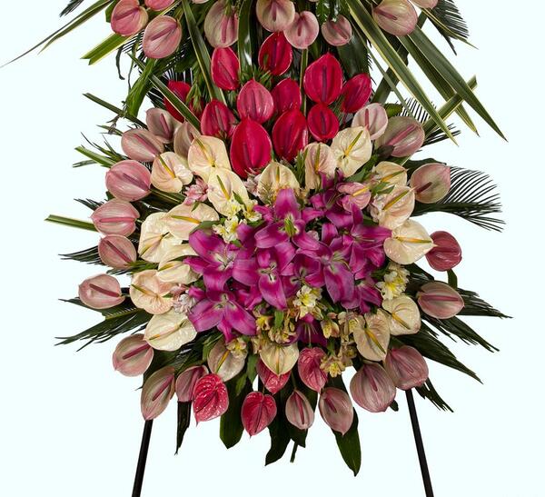 عکس گل نامزدیمون