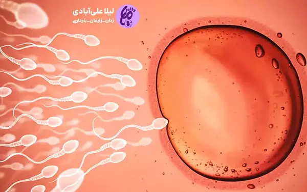 عکس لکه بینی نی نی سایت