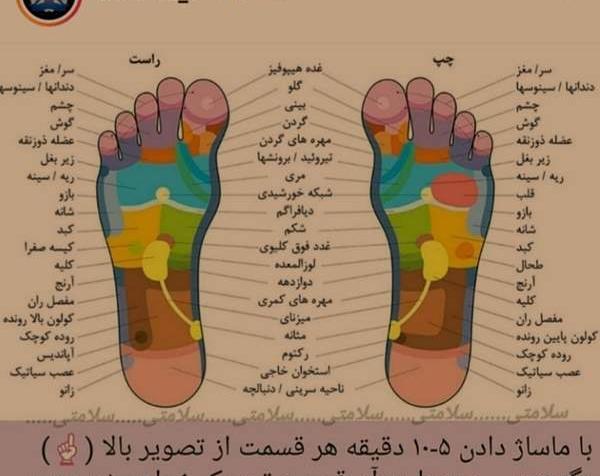 عکس قوزک پا نی نی سایت