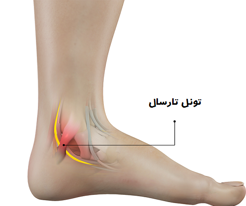 عکس قوزک پا نی نی سایت