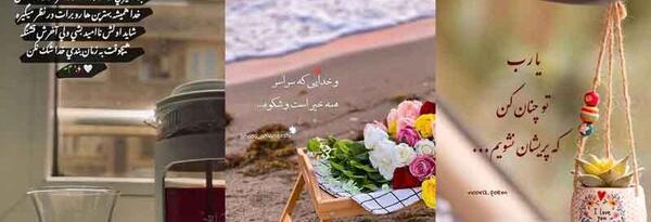 کسانی که عکس خود را پروفایل میگذارند نی نی سایت