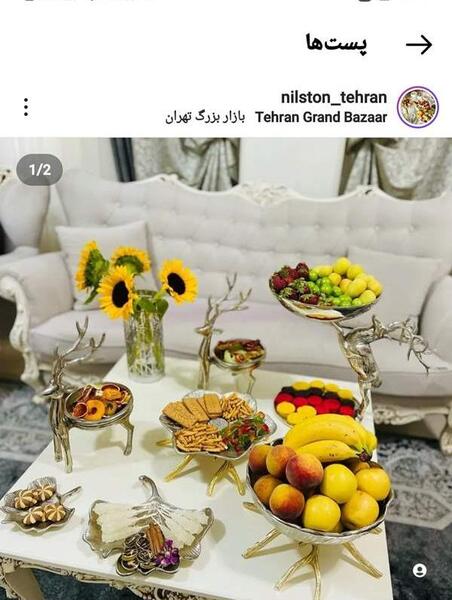 عکس سرویس پذیرایی نی نی سایت