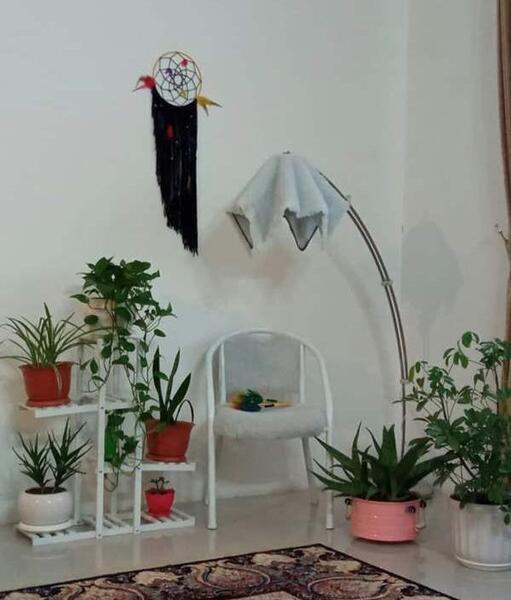عکس پذیرایی خونتون نی نی سایت