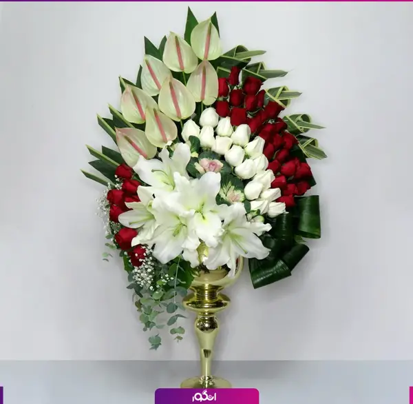 عکس گل نامزدی طبیعی