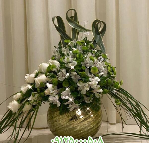 عکس گل نامزدی طبیعی