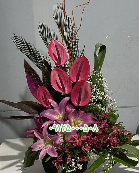 عکس سبد جشن نامزدی