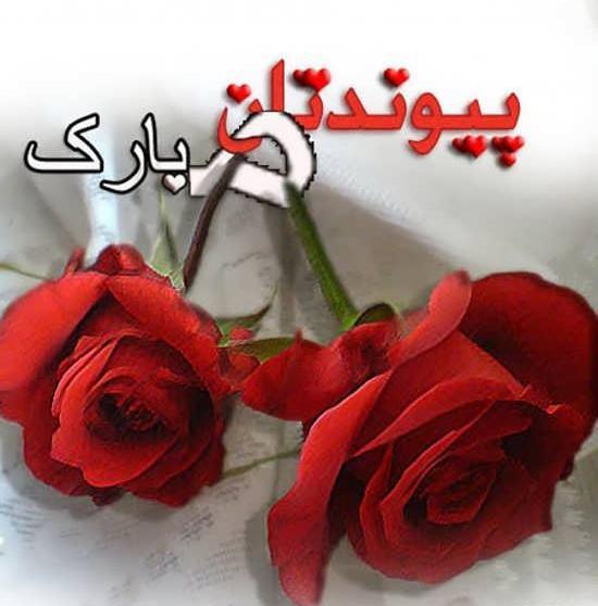 عکس نامزدی تون مبارک