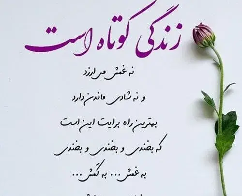 عکس نوشته انسانیت یعنی
