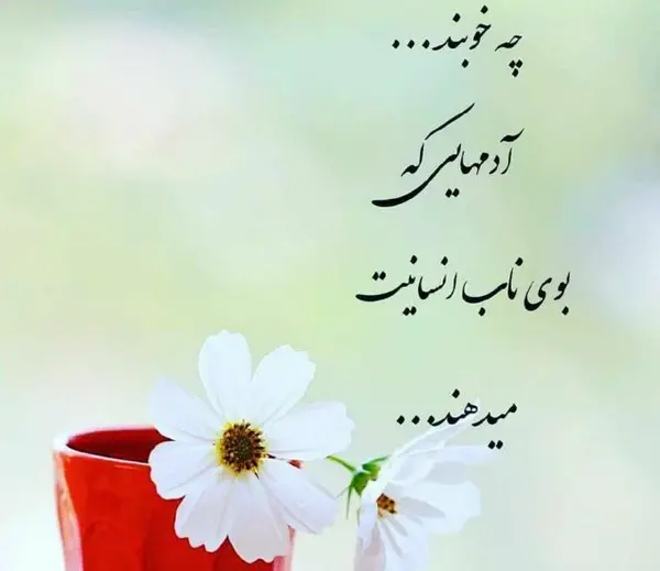 عکس نوشته انسانیت بالاترین هنر