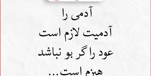 عکس نوشته انسانیت بالاترین هنر