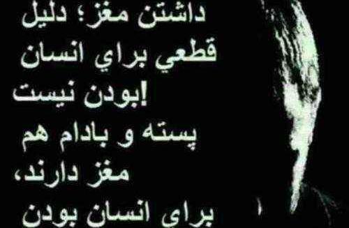 عکس نوشته آدم های نمک نشناس