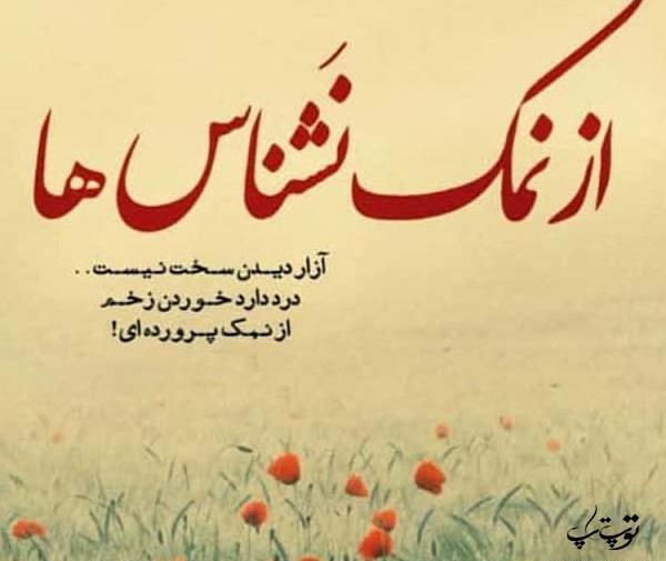 دانلود عکس نوشته ادم نمک نشناس