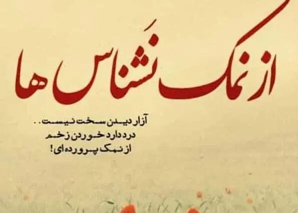 عکس نوشته برای ادم های نمک نشناس