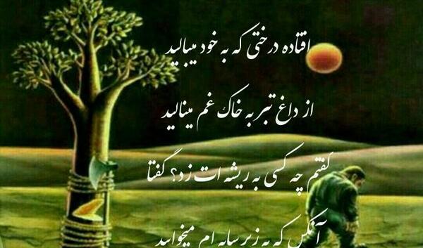 عکس نوشته برای ادم های نمک نشناس