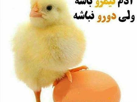 عکس نوشته برای آدمهای دورو