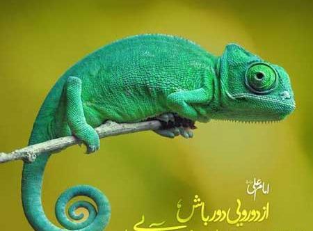 عکس نوشته برای آدمهای دورو