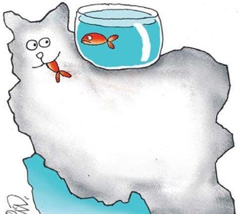 عکس گربه روی نقشه ایران