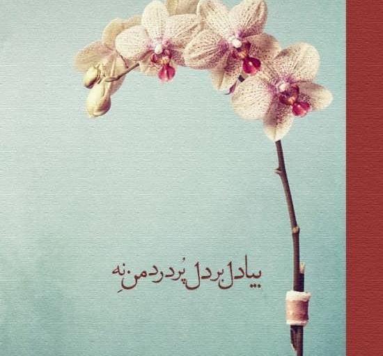 عکس نوشته از شعر مولانا