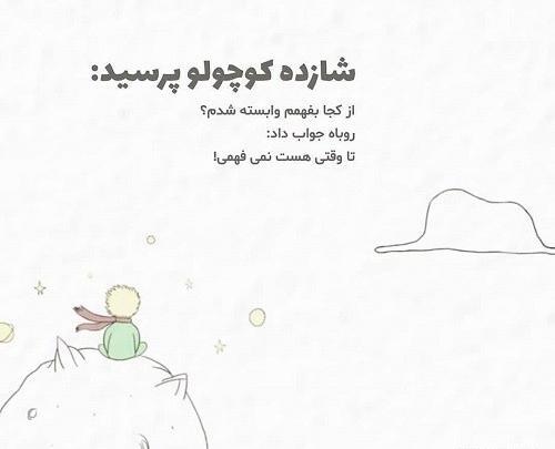 عکس نوشته شازده کوچولو و روباه