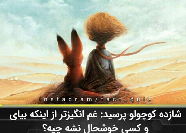 عکس نوشته شازده کوچولو و روباه