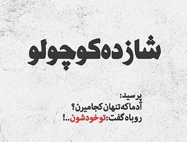 عکس نوشته شازده کوچولو گفت