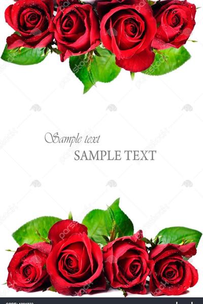 عکس نوشته گل رز قرمز