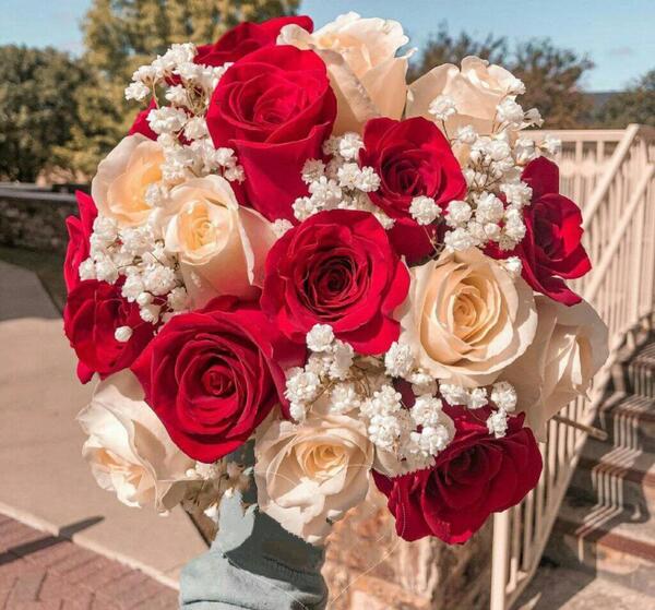 عکس نوشته گل رز قرمز