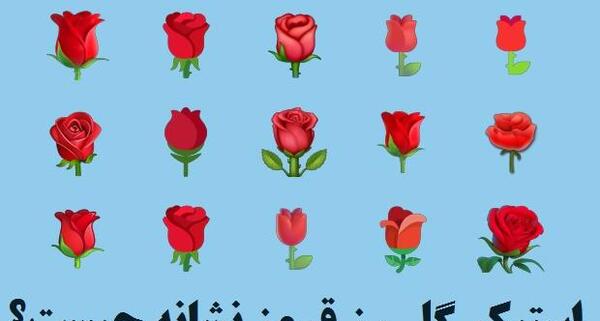 عکس نوشته گل رز قرمز