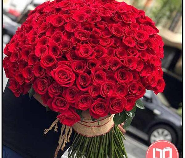 عکس نوشته گل رز قرمز