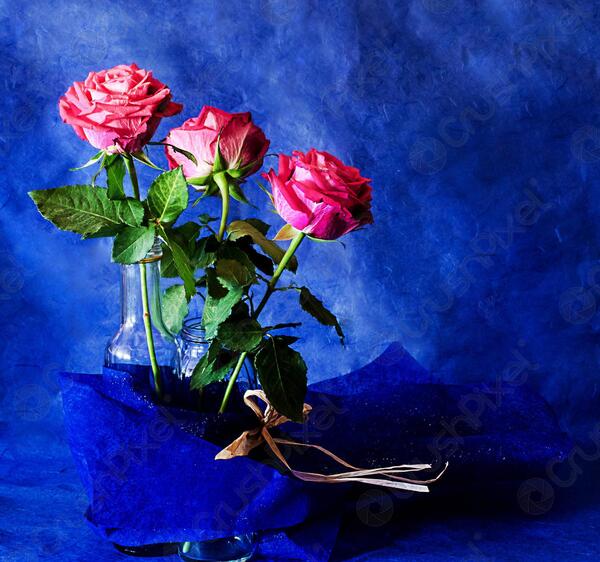عکس نوشته گل رز قرمز