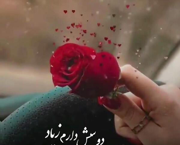 عکس نوشته گل رز قرمز