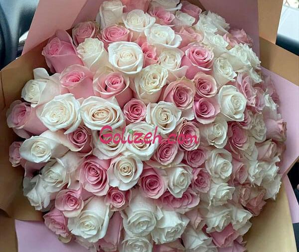 عکس نوشته گل رز سفید