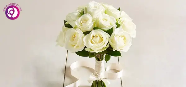 عکس نوشته گل رز سفید