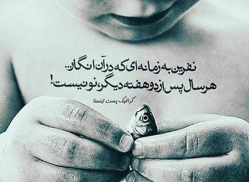 عکس نوشته نفرینت نمیکنم